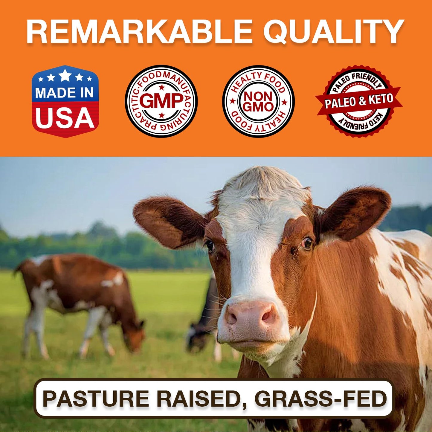 Zammex Pure Grass Fed Beef Bone Broth Protein Powder,20g Protein, Hydrolyzed Collagen Supplement for Healthy Skin,Nails,Hair,Joints, Non-GMO,Gluten Free,Paleo & Keto Friendly, Great in Soup